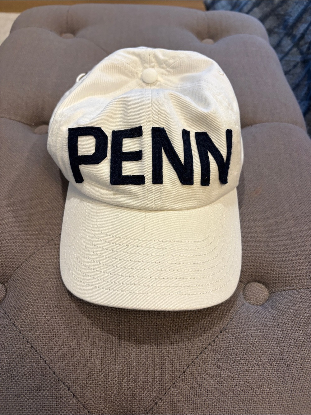 UPenn baseball hat